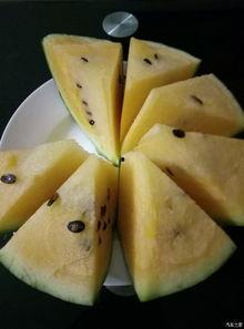 吃瓜论坛母子,母子情深，网友热议家庭温馨瞬间